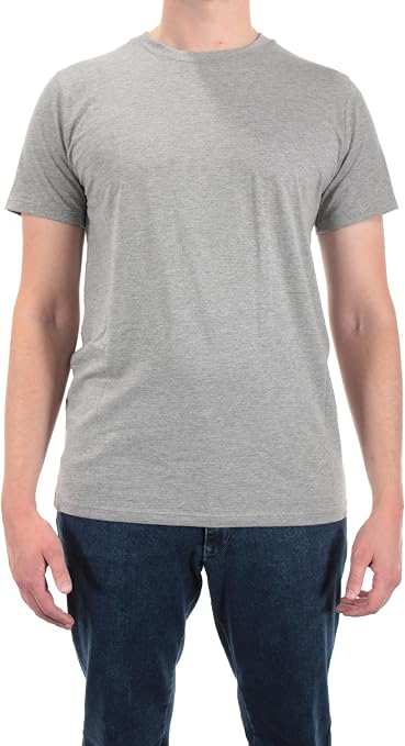Blusky Crew Neck T-Shirt - Gray